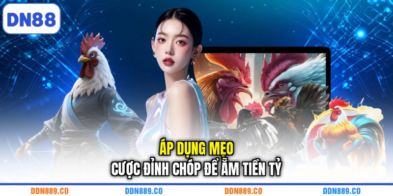 Áp dụng mẹo cược đỉnh chóp để ẵm tiền tỷ