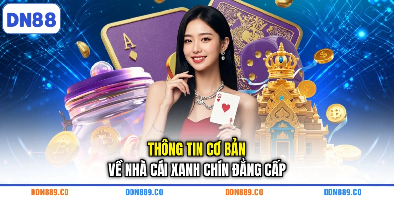 Thông tin cơ bản về nhà cái xanh chín đẳng cấp